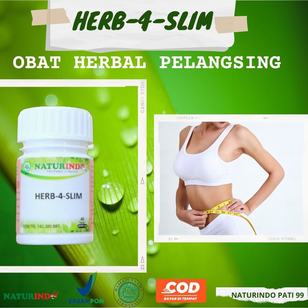 Jual Obat Diet Pelangsing Badan Peluntur Lemak Perut Suplemen Herbal