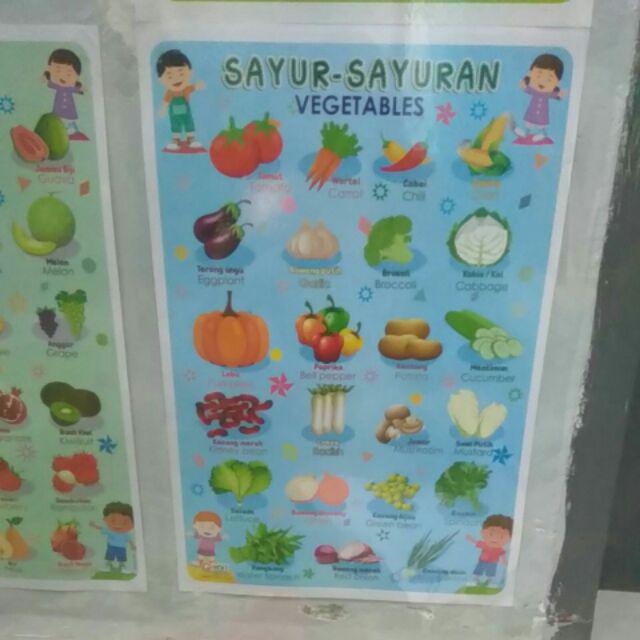 Poster belajar anak TK / PAUD media belajar Mengenal sayur