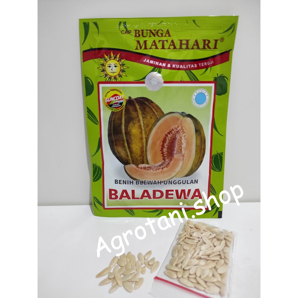 Benih Blewah Baladewa- Kemasan Repack Cap Bunga Matahari
