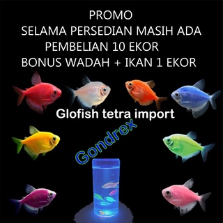 74 Koleksi Jual Ikan Hias Air Laut Kediri HD