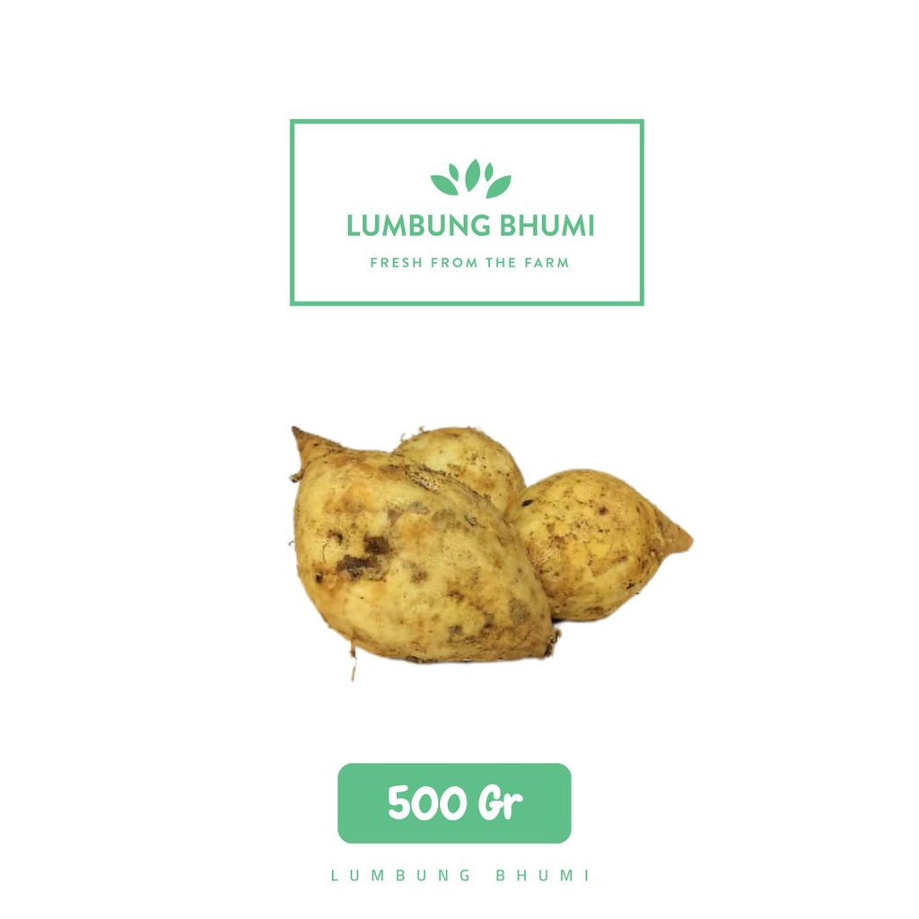 

Lumbung Bhumi - Ubi Jalar Putih 500 Gr ( Sayur Curah )