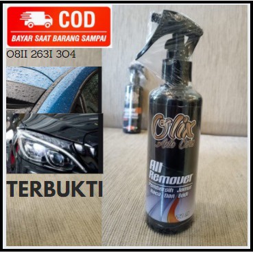 Pembersih Kaca Mobil Jamur Efek Daun Talas TERBAIK