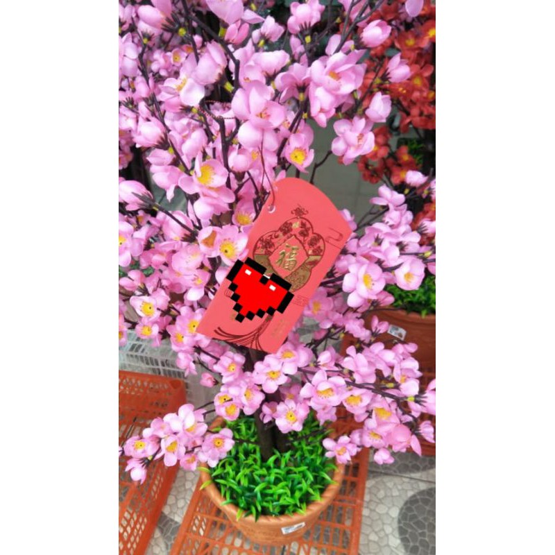 

pohon sakura pink imlek