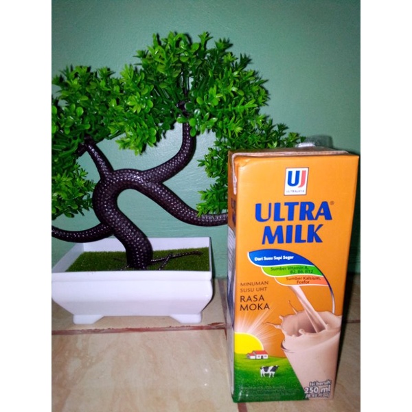 

SUSU ULTRA MILK RASA MOKA 250ML