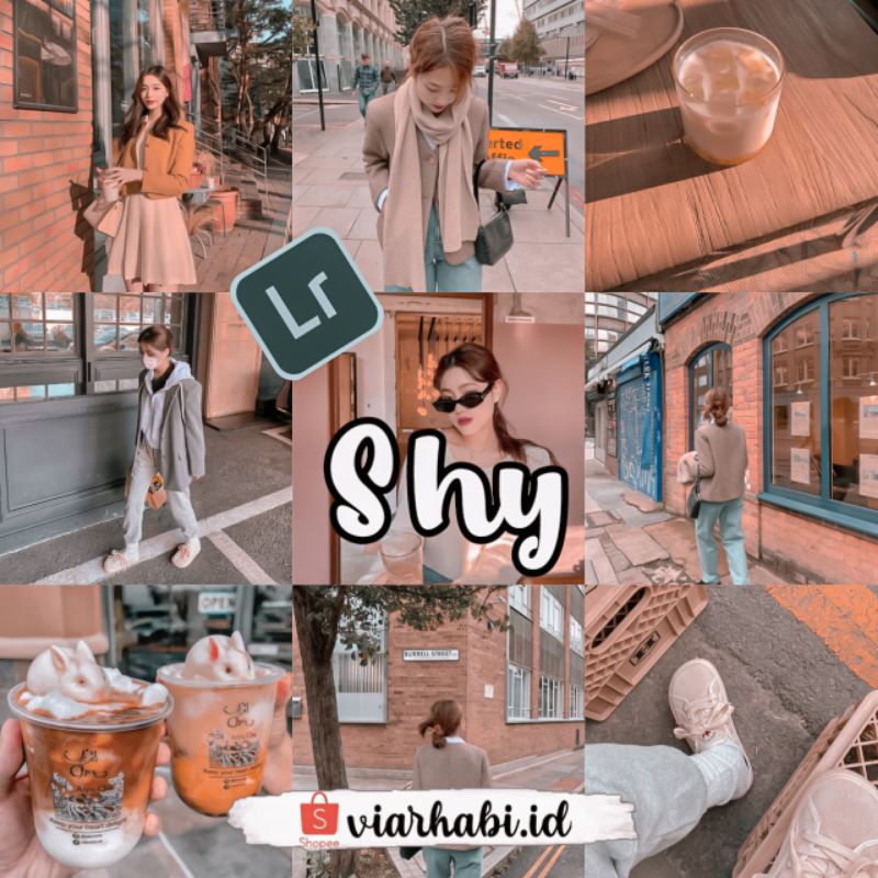 PRESET LIGHTROOM PREMIUM SHY FOR IOS OR ANDROID