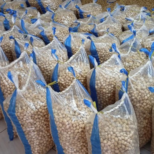 

HS Biji Kemiri Super Kemiri Bulat Kemiri Utuh 1 kg