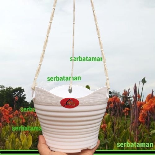 Pot Bunga Gantung Alexish Charlie 20 / Pot Tanaman / Pot Gantung