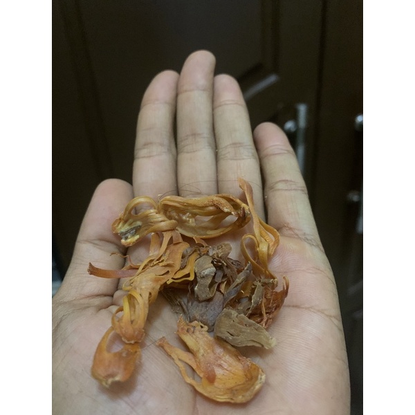 

bunga buah pala