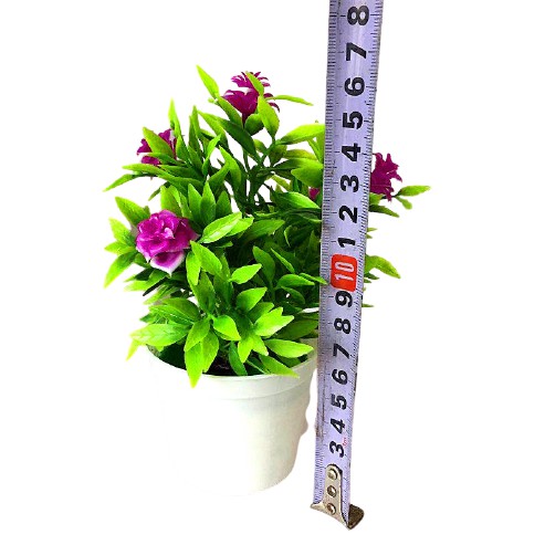 Satu7an PBP16 BUNGA BONSAI PLASTIK PALSU + POT BUNGA TANAMAN HIAS DECORATION FLOWER ARTIFICIAL-4