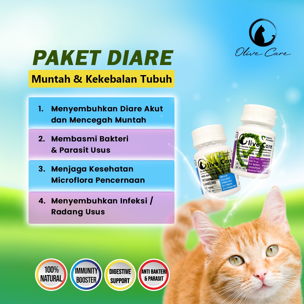 Olive Care Vitamin Kucing Paket DIARE, MUNTAH &amp; KEKEBALAN TUBUH untuk Badan Lemes, Demam akibat Diare &amp; Mencret Akut, Pup Berdarah, Radang Usus dan Masalah Pencernaan SweetyPetshop