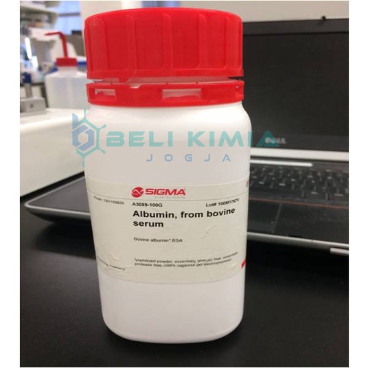 BSA / Bovin Serum Albumin / Albumin