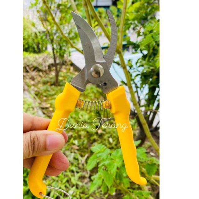 Gunting Dahan HASSTON PROHEX 1350-024 GgKuning Stainless - Gt Lancip Bunga Kebun Pruning Shears