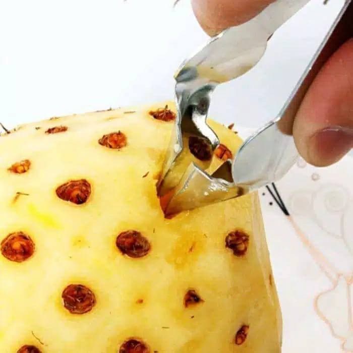 TGM - Capitan Penjepit Nanas Pengupas Mata Nanas Dapur Stainless Biji Nanas Pineapple Eye Remove