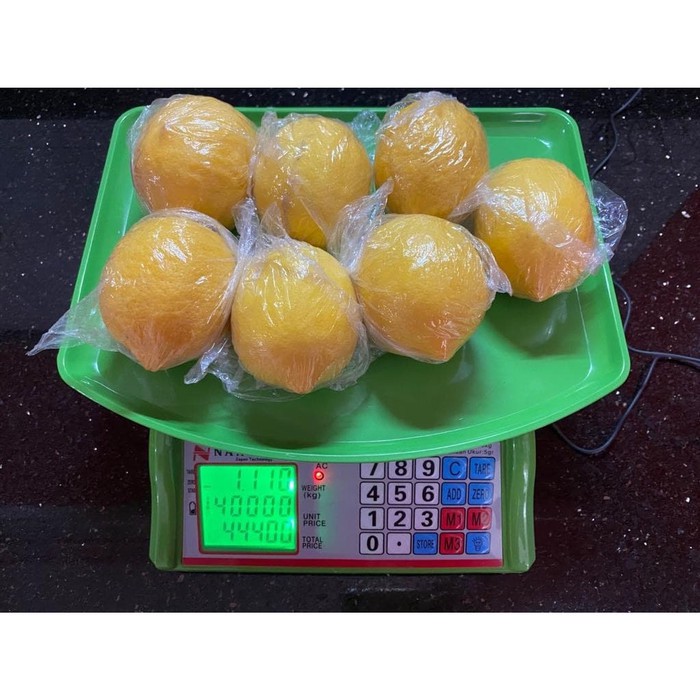 Nankai Timbangan Duduk Digital 40 Kg