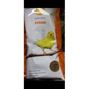 gold coin pakan kenari