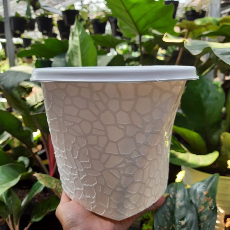 Pot Bunga Twister 20 Putih / Pot Tanaman
