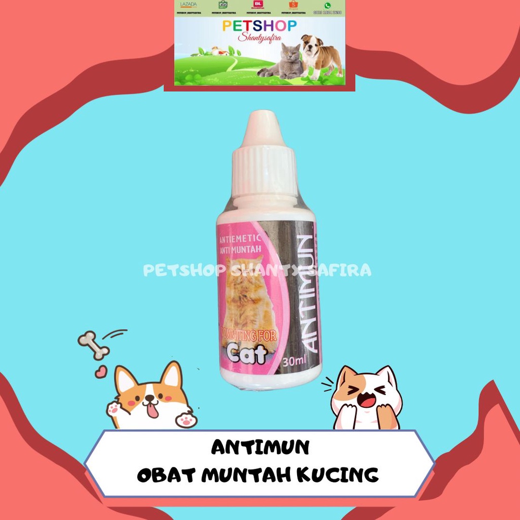 ANTIMUN OBAT ANTI MUNTAH KUCING