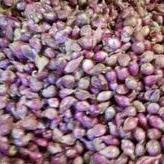 

Bawang Merah Super 500hr