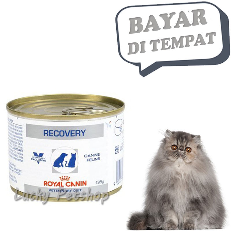 Makanan Kucing Sakit Masa Penyembuhan Wet Food Royal Canin 