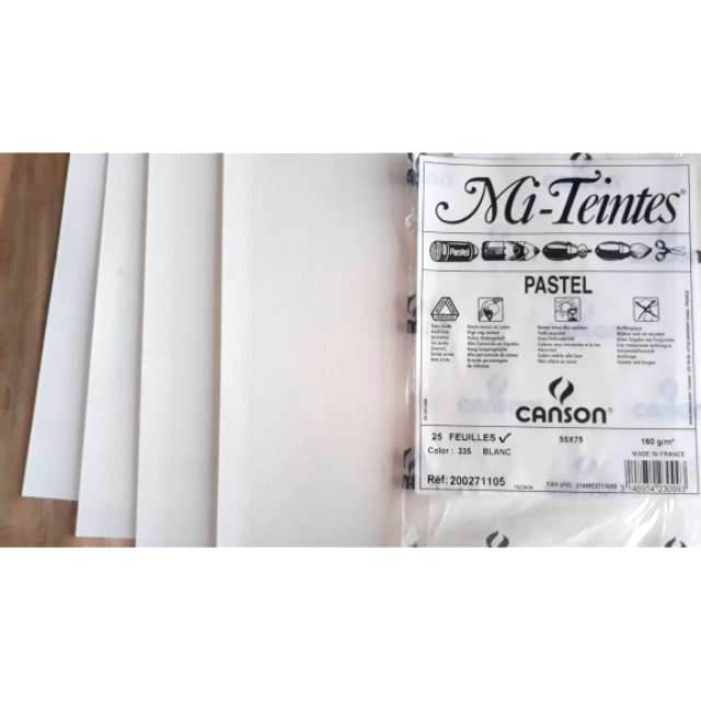 **WAJIB TAMBAH KARDUS PACKING** Canson Mi-Teintes Pastel Paper 55x75cm 160gsm