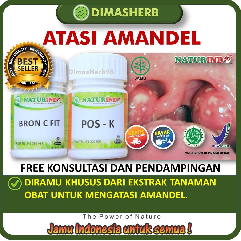 Obat Sesak Nafas Berdahak Batuk Kering Berlendir Alergi Dingin Debu Sinusitis Rhinitis Amandel Menaun Obat Asma Obat TBC Bronkitis Obat Jamu Herbal BPOM HALAL MUI Gangguan Pernafasan Alergi Debu Obat Gurah Paru Paru Herbal BRON C FIT NATURINDO YOGYAKARTA-AMANDEL