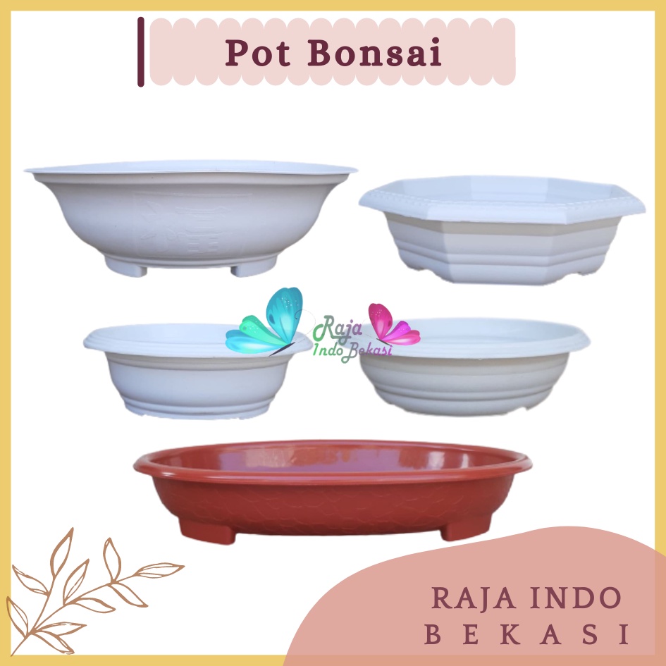 Pot Bonsai Plastik Hitam Putih Murah Pot Bonsai Besar Kecil Coklat Terakota Terracotta Pot Ceper Plastik 40cm 50cm 30cm 25cm Pot Bonsai Ceper 20 25 30 40 50 cm