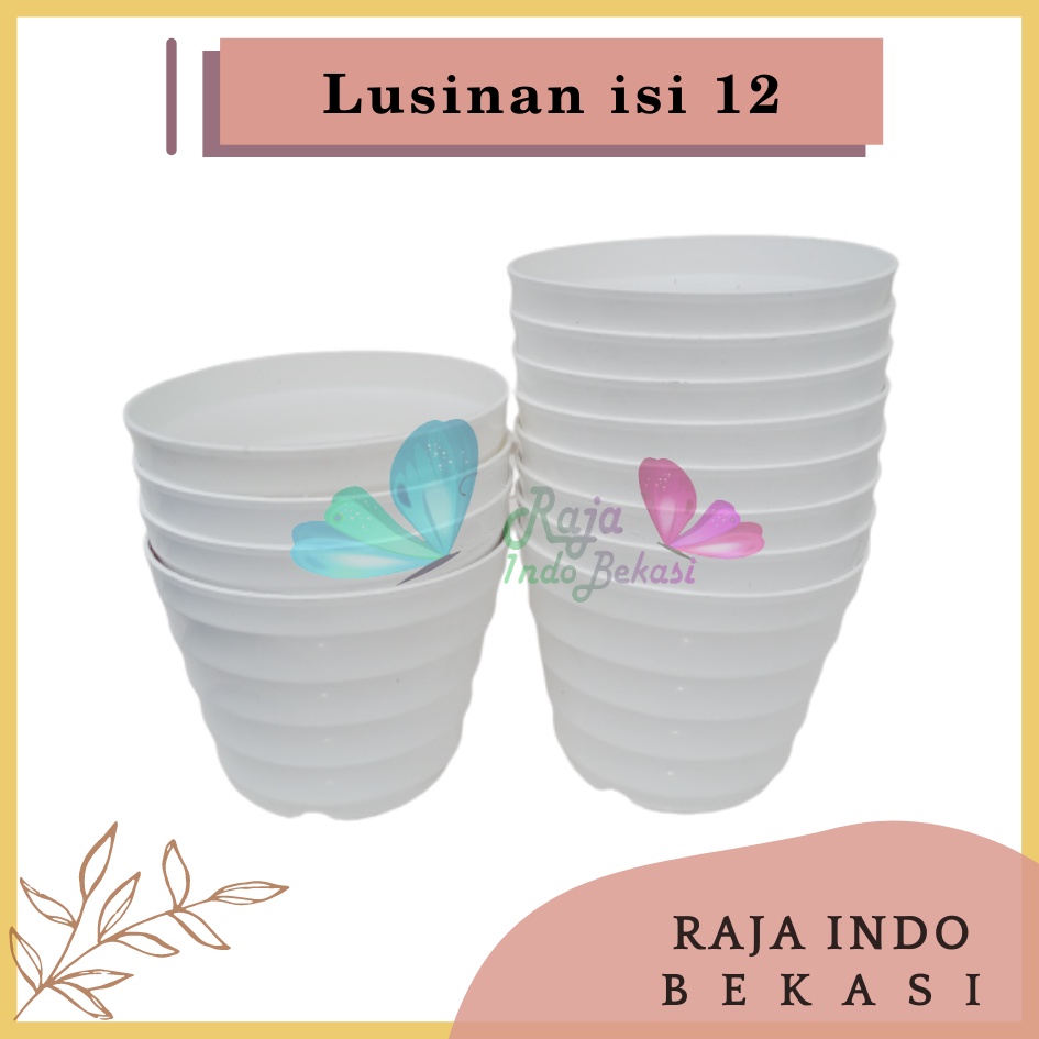 LUSINAN Pot King Mado 12 Putih By Garden Of Love Pot Plastik Kaktus Mini Murah Lucu LUSINAN Pot 12 Cm Warna Warni