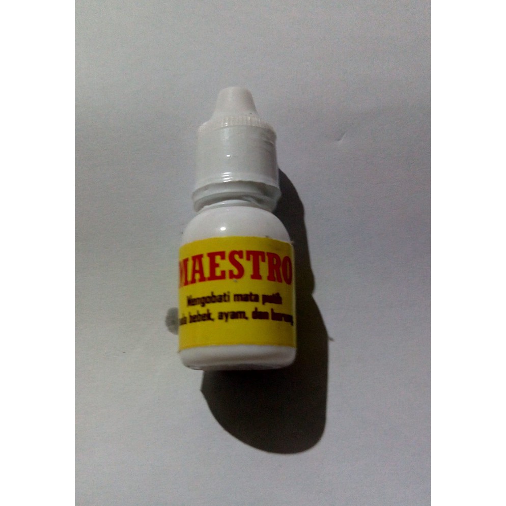 MAESTRO MENGOBATI MATA PUTIH PADA BEBEK AYAM BURUNG