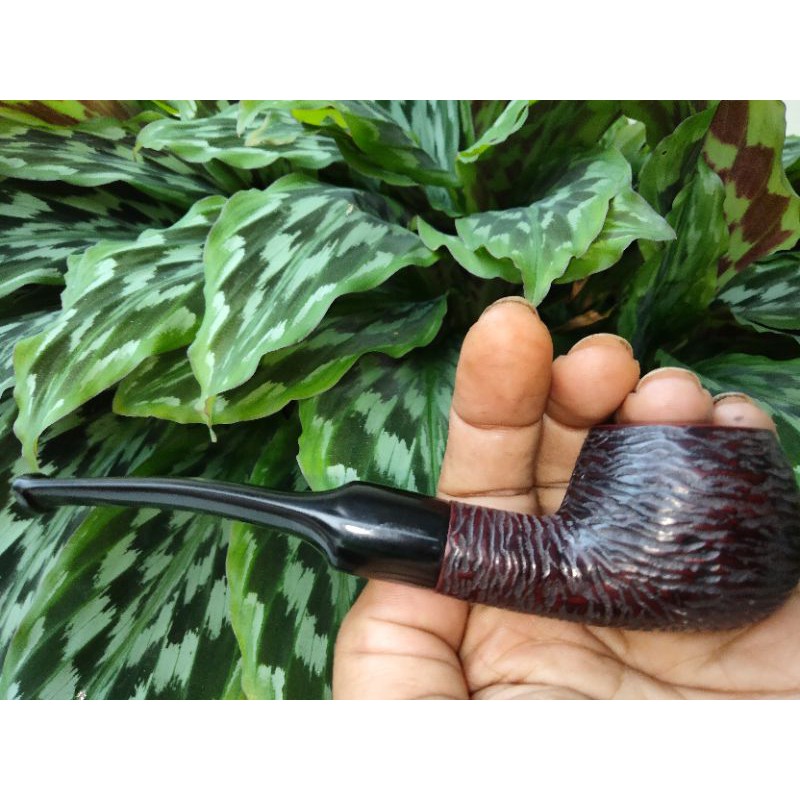 pipa cangklong kayu briar import