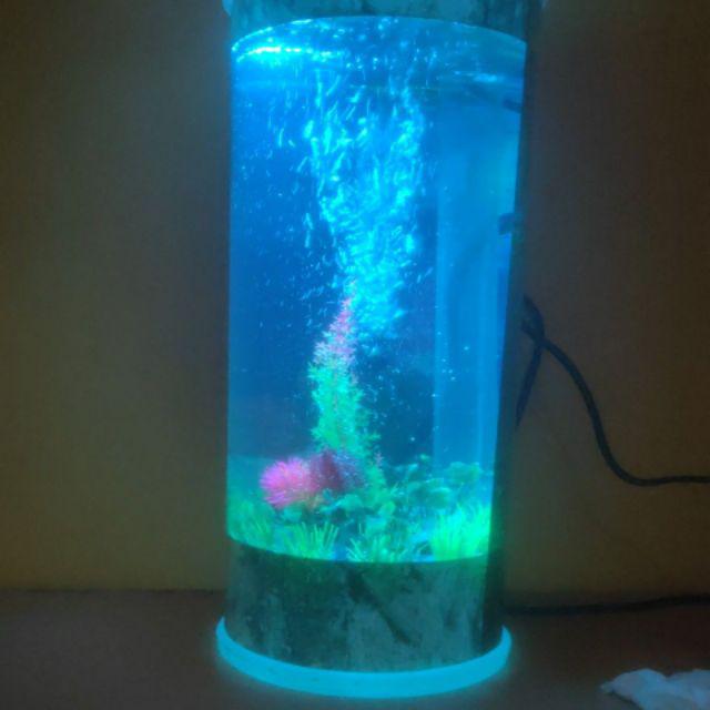 Aquarium Mini Tipe Vertikal Air Mancur Wg Aquarium Tipe V5