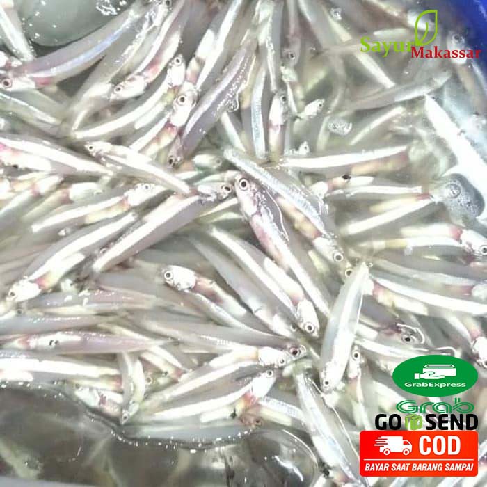 

Ikan Teri Basah Segar/ Mairo Fresh Fish Pasar Online Makassar