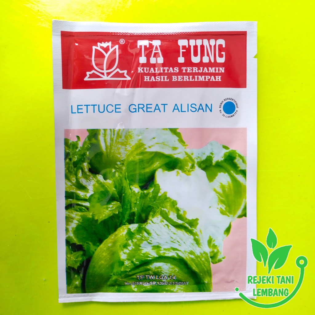 Benih Lettuce//Benih Lettuce Great Alisan by Ta Fung 10gr