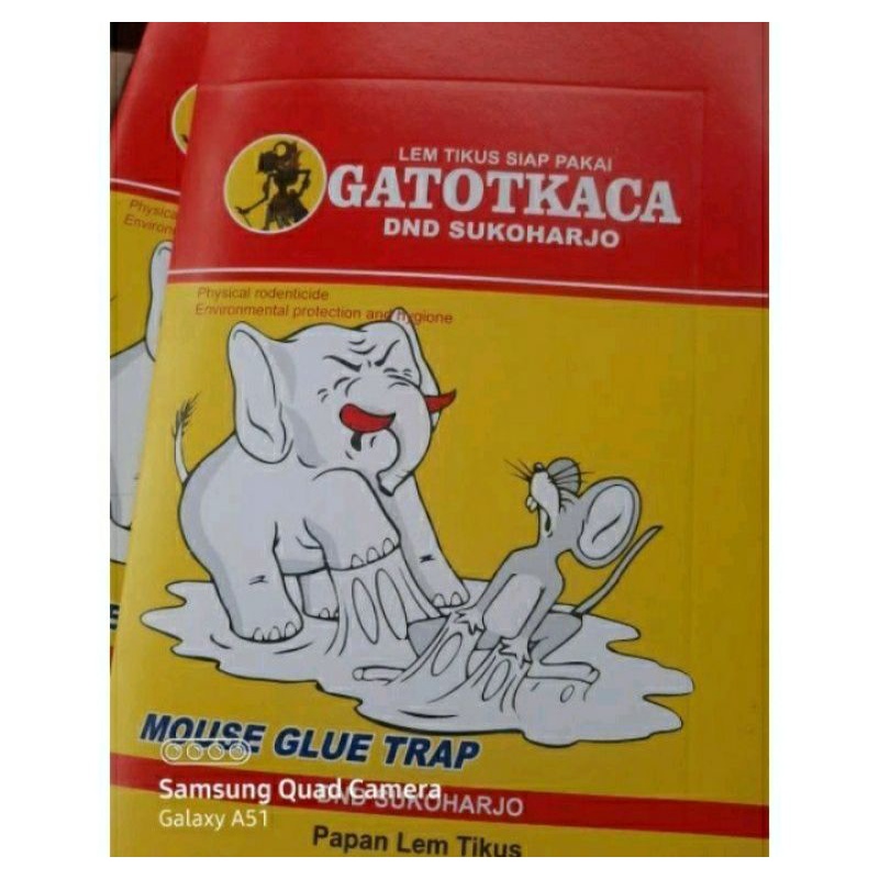

LEM PAPAN TIKUS GATOTKACA