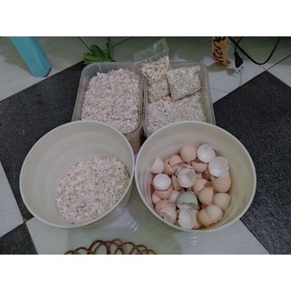 Jual Cangkang Telur/kulit Telur/cangkang Telur Ayam Kampung Campuran ...