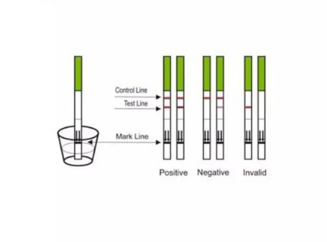 50x Ovulation LH Test Strip - Tes Masa Subur - Ovutest