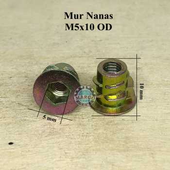 10 pcs Mur Nanas Mur Tanam M5x10 OD