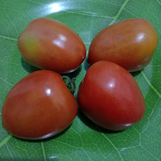 

Tomat merah / Tomat hijau sayur bandung