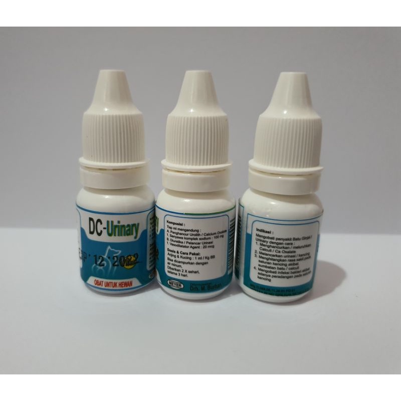 dc urinary kucing anjing