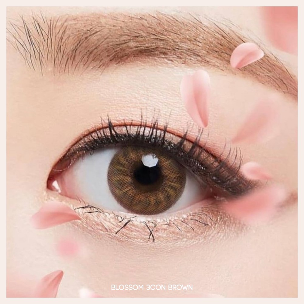 MIKHAYLOVESHOP Softlens Blossom 3con Brown | Kittykawaii