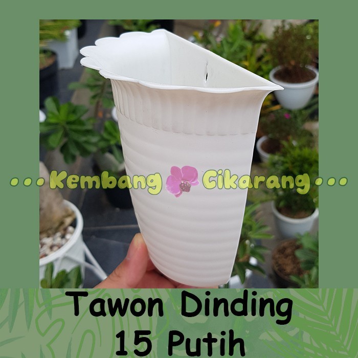 (LUSINAN) Pot Dinding Tawon 15 (12pcs) Pot Putih Hitam Pot Tempel Mini