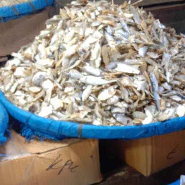 

Ikan teri sampah (500 gram)