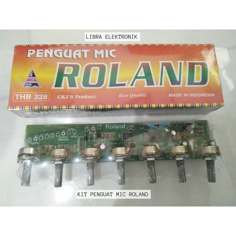 Kit Penguat Mic ROLAND CKJ