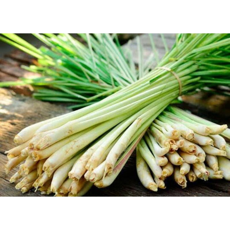 

SERAI ATAU SEREH ISI JUMBO 1 KG/ BUMBU MASAKAN