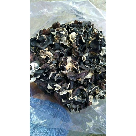 

jamurkupingkering