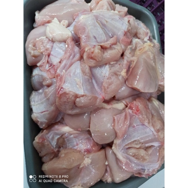 

Fillet Dada Ayam