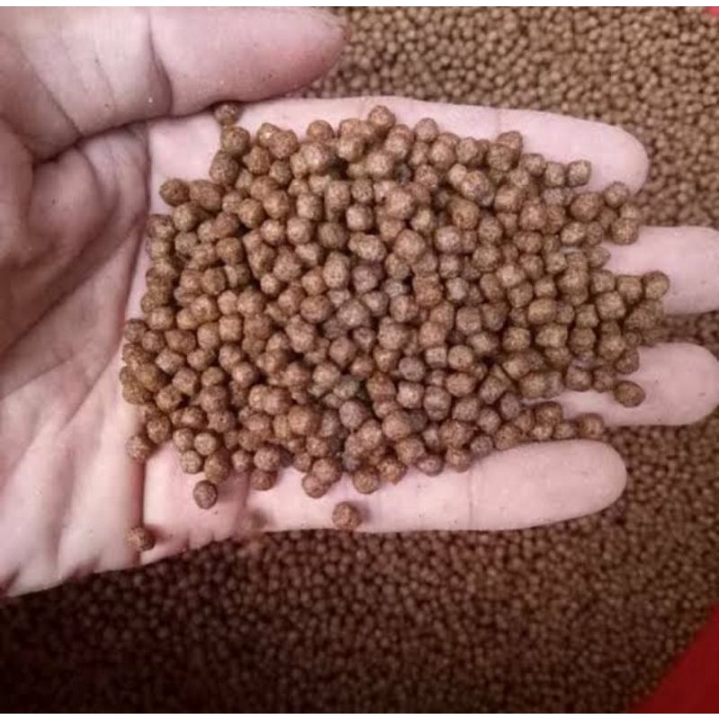 Pelet Ikan Lele Tinggi Protein, Berat 1kg