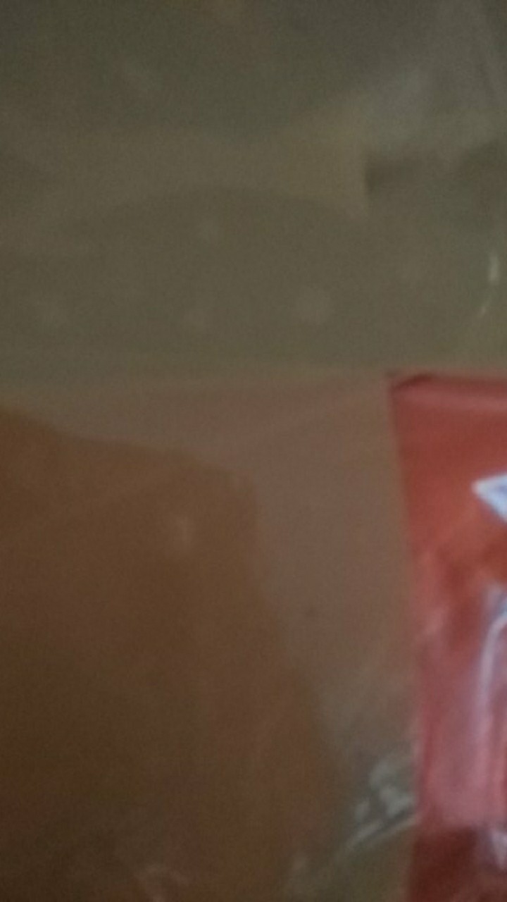 [50 Pcs] Gelas Plastik Pop Ice Polos 12 Oz
