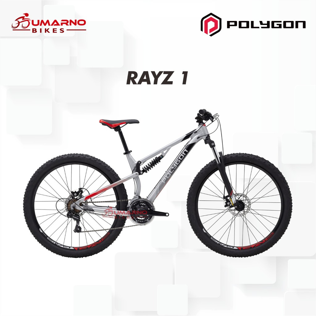 Sepeda Polygon Rayz 1