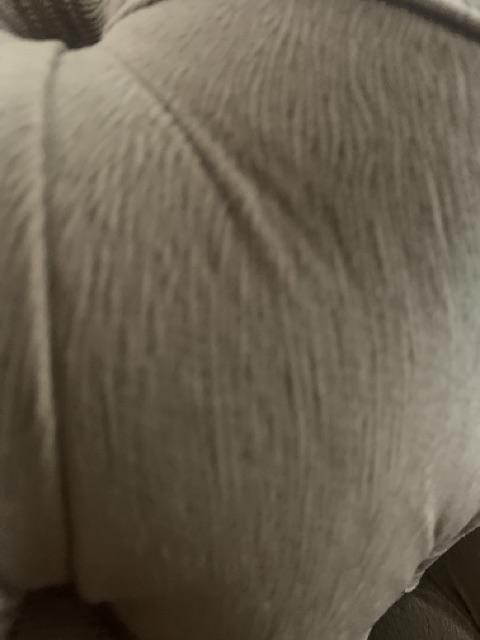 Bagus Serapair Serap Air Heavy Duty Dehumidifier Non Perfumed 450 Ml