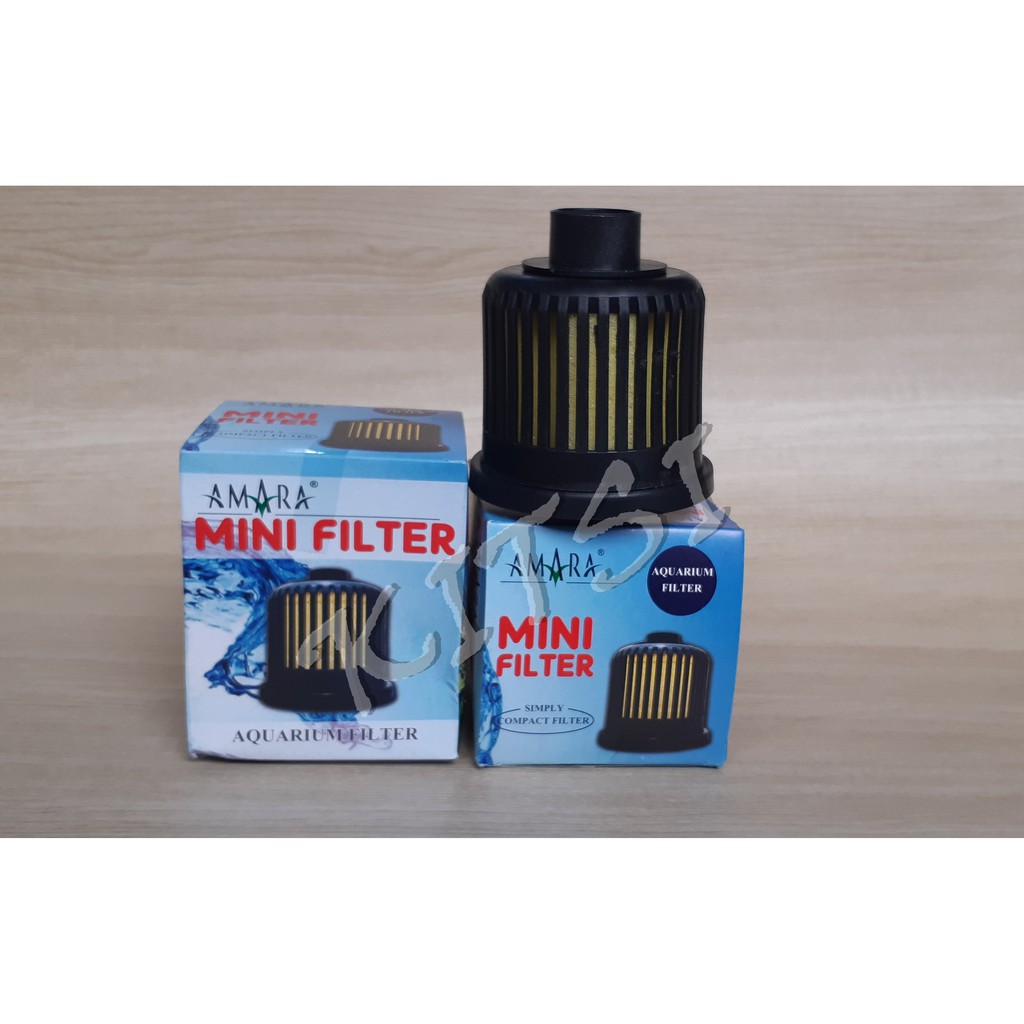 Amara Mini Filter Aquarium Aquascape